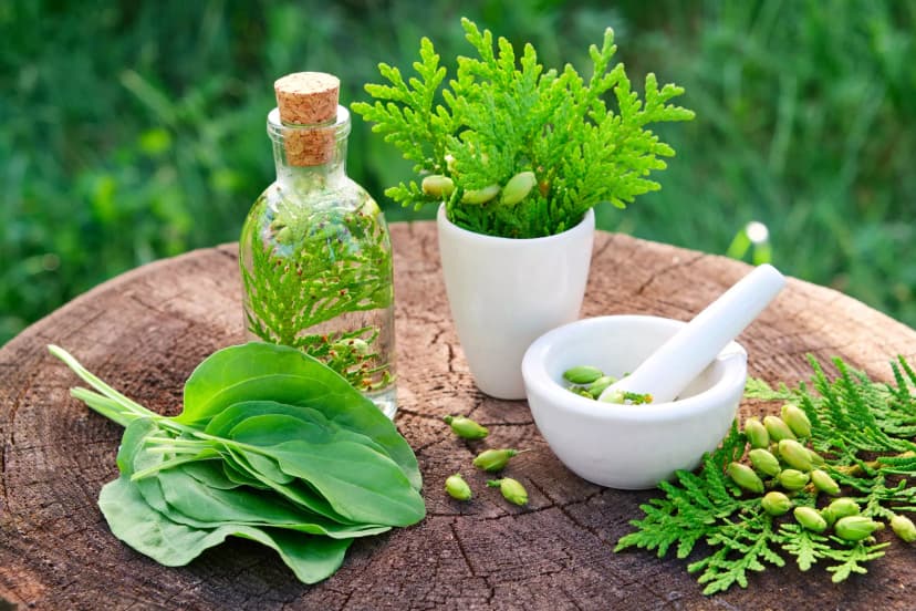 مراقبت از پوست گیاهی